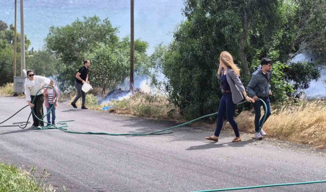 Muğla’nın Bodrum ilçesinde otluk ve makilik alanda çıkan yangında 5