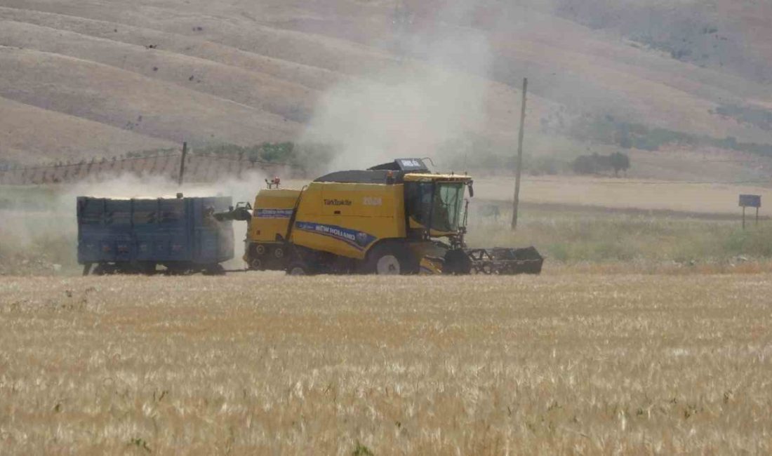 Adıyaman’da hububat hasadı arpa ile başladı İklim şartları nedeniyle verimin düştüğü Adıyaman’da hububat hasadı başladı. Kuraklık,