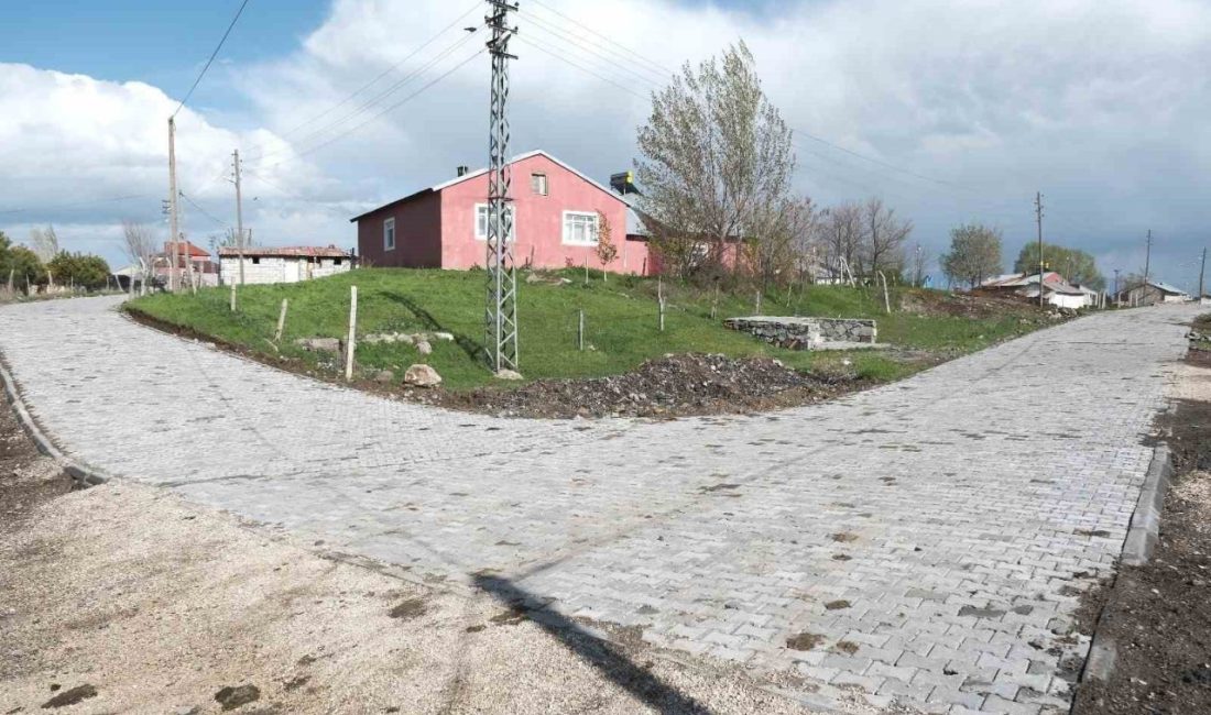 Ağrı’nın merkez ilçesine bağlı Yolluyazı köyünde, köy içi yola 3