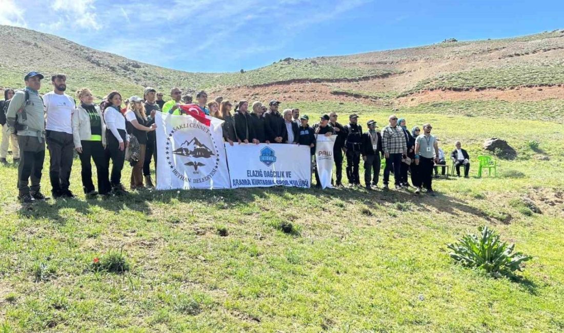 Akdağ’da doğa yürüyüşü düzenlendi Elazığ’ın Palu ilçesinde yer alan Akdağ’da doğa yürüyüşü etkinliği gerçekleştirildi.