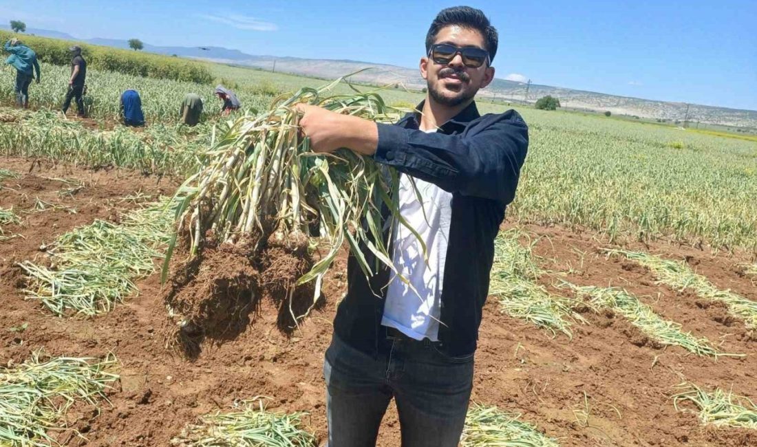 Gaziantep’in Araban ilçesinde, genç Ziraat Mühendisi Kadir Öztürk, babasının Araban