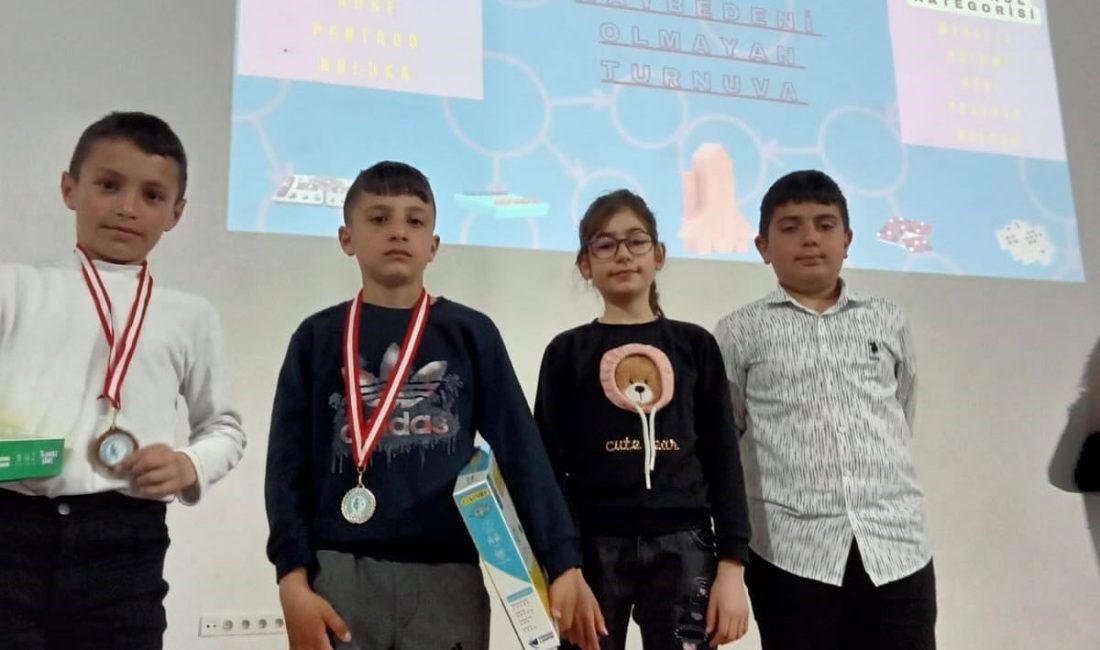 Ardahan da düzenlenen il geneli Zeka ve Akıl Oyunları finaline