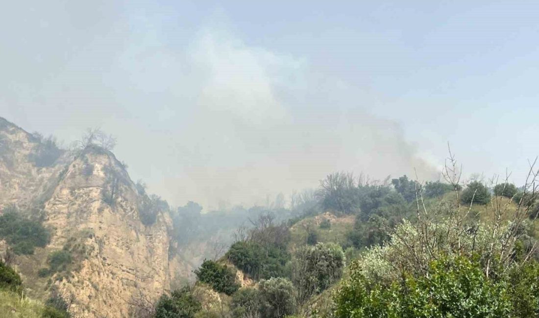 Aydın’ın Efeler ilçesinde zirai ve otluk alanda yangın çıktı. Edinilen
