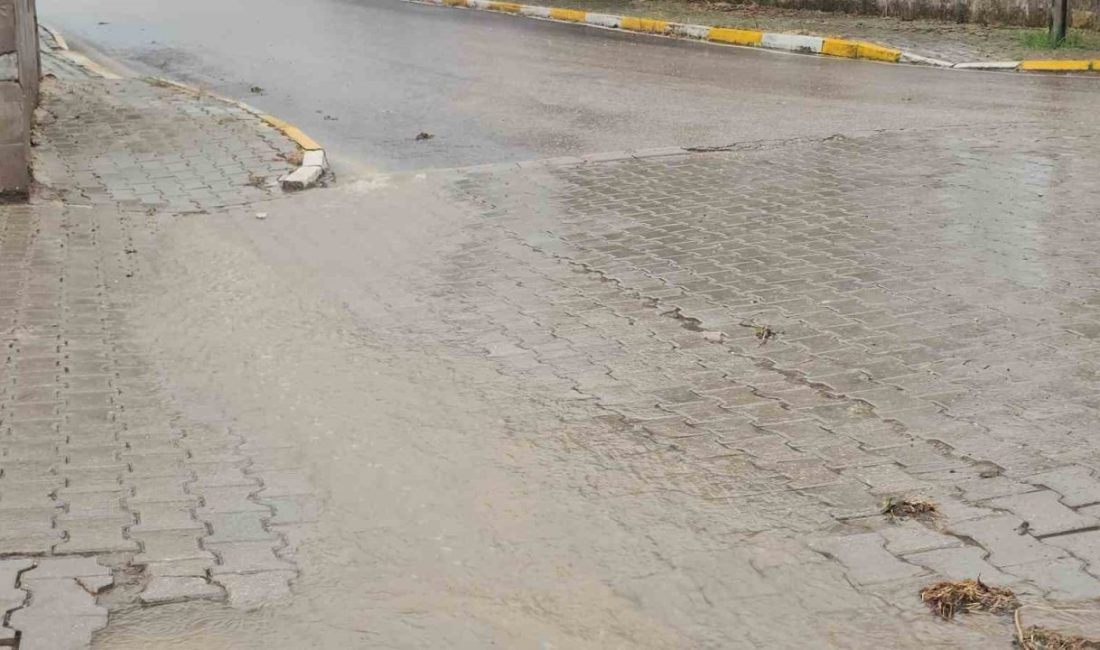 Bandırma’da sağanak yağış sele neden oldu…Vatandaşlar zor anlar yaşadı Balıkesir’in Bandırma ilçesinde etkili olan sağanak yağış, hayatı olumsuz etkiledi.