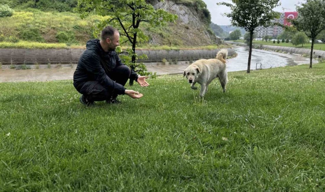 Sarıyer’de bir alışveriş merkezinin içerisindeki bankaya giren ve uyuyakalan ‘Beyaz’