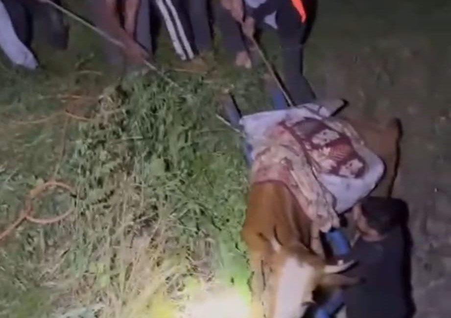 Batman’da derin çukura düşen ineği köylüler kurtardı Batman’ın Kozluk ilçesine bağlı Ağaçlı köyünde, derin bir çukura düşen
