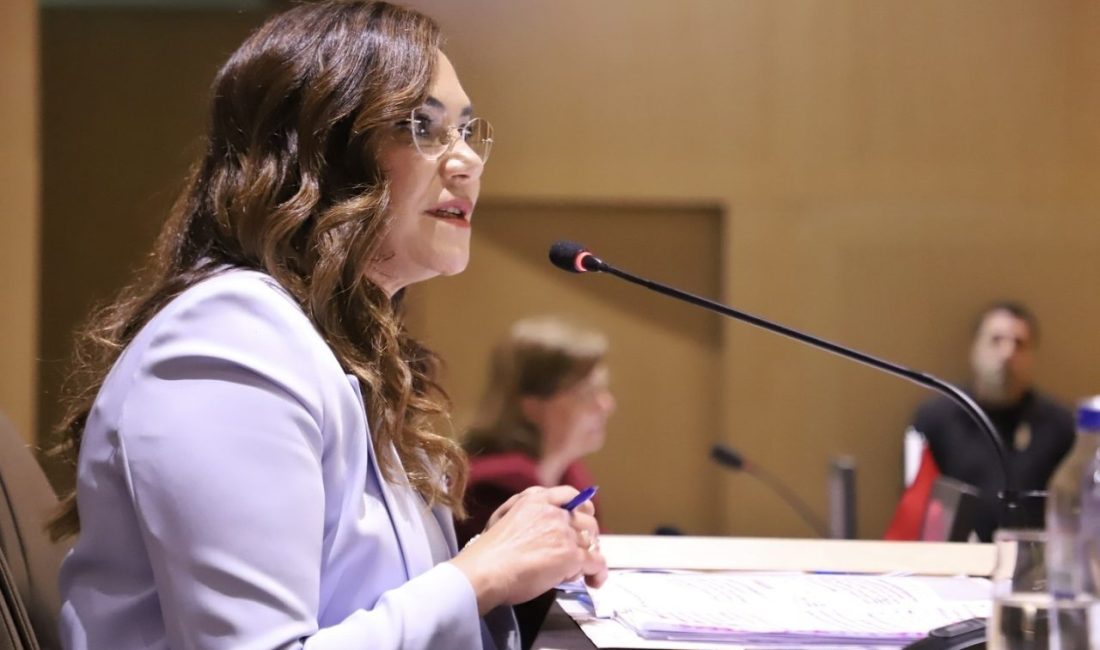 Belediye meclisinde CHP’li başkanlar arasında otopark tartışması: Mikrofon kapatıldı, gerilim yükseldi Tekirdağ Büyükşehir Belediye Meclis toplantısında, Çerkezköy’deki Şelaleli Park alanına otopark