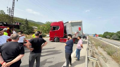 Bursa’nın Orhangazi ilçesinde seyir halindeki tır sürücüsü arının ısırması sonucu