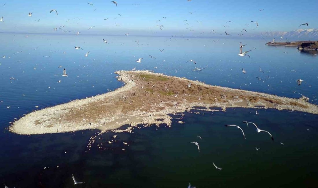 Bitlis’te son yıllarda artan kuraklık ve iklim değişikliği, bölgedeki göllerin