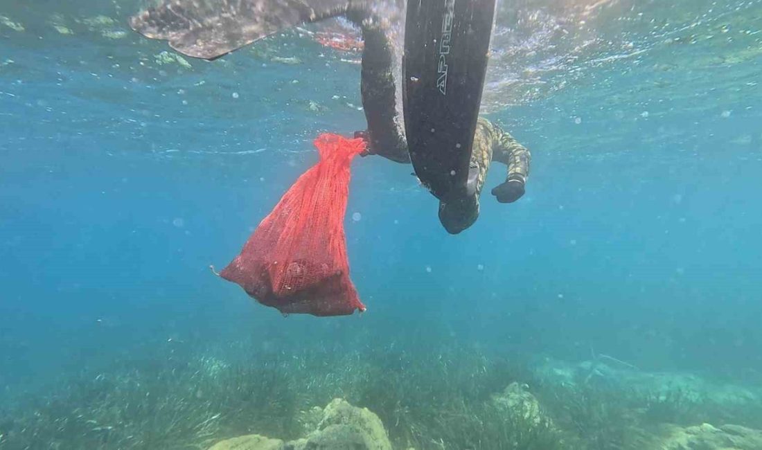 Bodrum Belediyesi tarafından “Denize En Çok MAVİ Yakışır” sloganıyla on