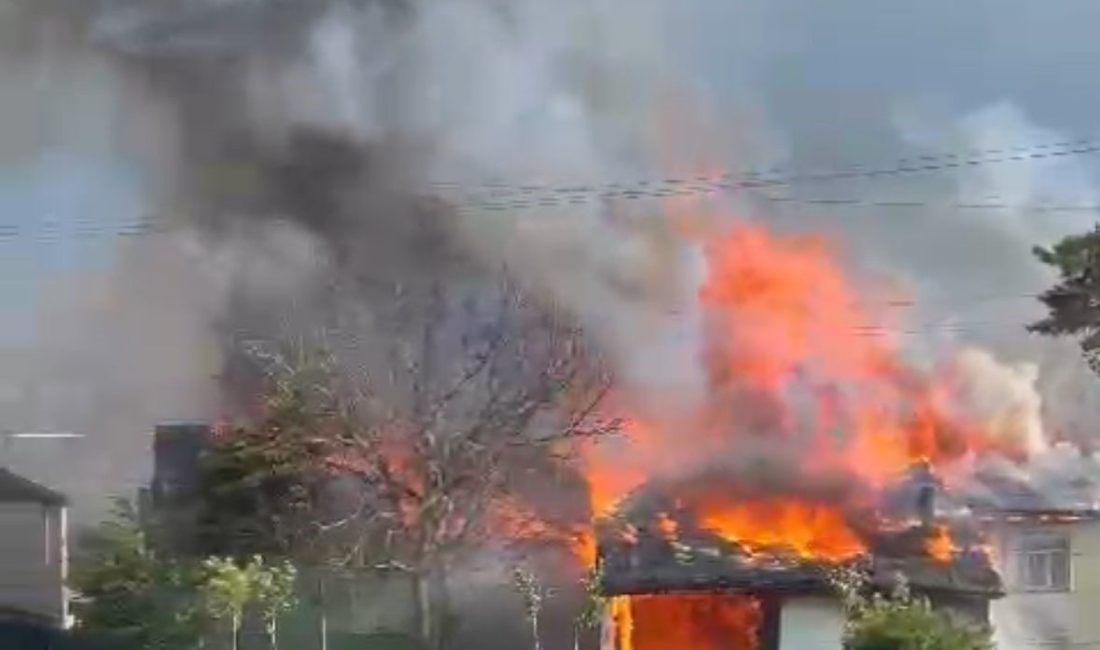 Bolu’da bir depoda çıkan yangın, depoyu ve iki evi küle