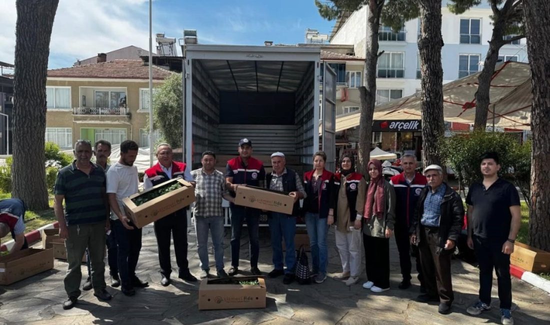 Bozdoğan’da 60 bin turşuluk biber fidesi dağıtıldı Önemli tarım kentlerinden olan Aydın’da tarım arazilerinin kullanımının etkinleştirilmesi amacıyla