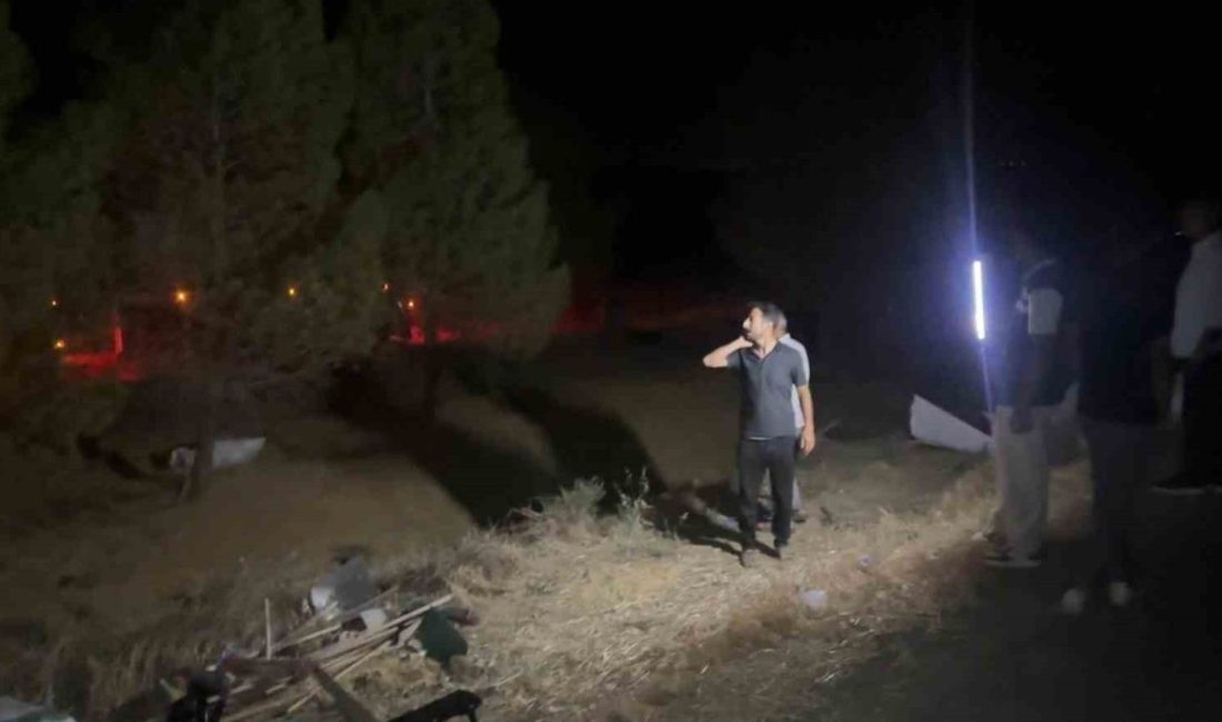 Şanlıurfa’nın Ceylanpınar ilçesinde devrilen tırdaki buğday yolun kenarına saçıldı. Edinilen