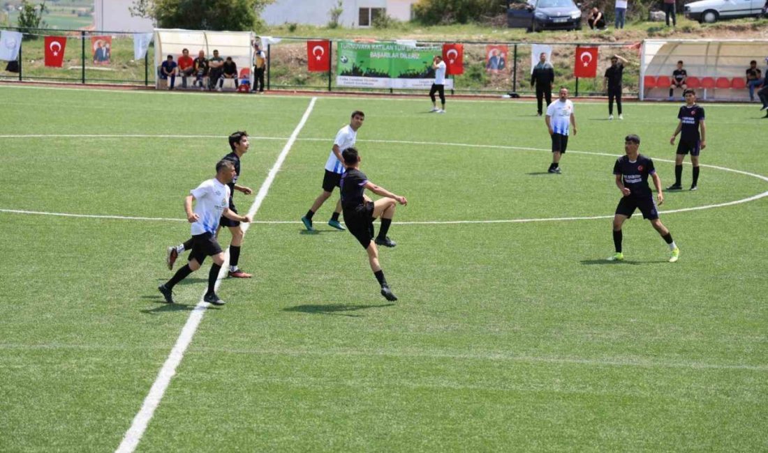 Çameli Kaymakamlığı, Çameli Belediyesi ve Çameli Gençlik ve Spor İlçe