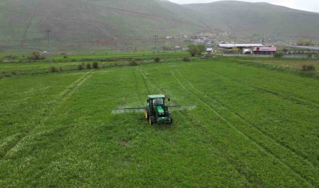 Cann gübre Erzurum çiftçisine can simidi oldu Erzurum Büyükşehir Belediyesi’nin iştiraklerinden ÇETAŞ A.Ş. tarafından üretilen Cann Gübre,