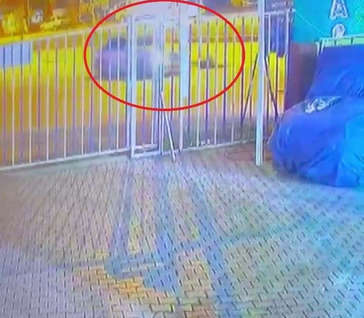 Hatay’da yolun karşısına geçtiği esnada otomobil çarpan genç hayatını kaybetti.