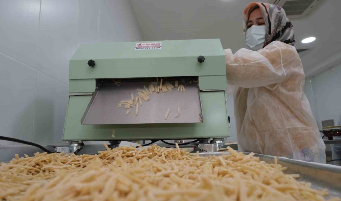 Bursa’nın Nilüfer ilçesi kırsalında çiftçilerin yetiştirdiği ürünleri alan Nilüfer Tarımsal