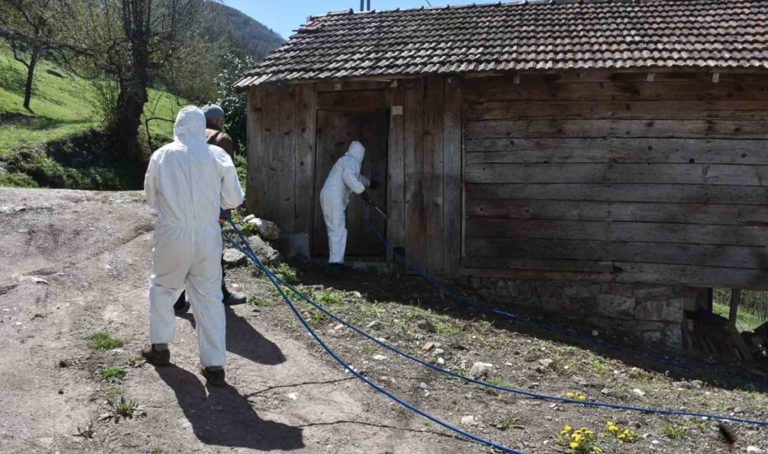 Bu yıl başta fındık olmak üzere birçok tarım ürününe ciddi