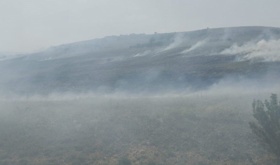 Denizli’nin Çivril ilçesinde otluk alanda yangın çıktı. Yangını kontrol altına