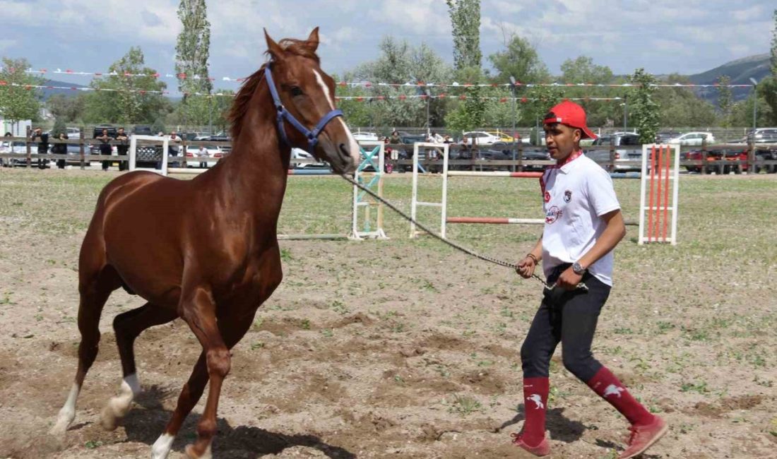 Çorum’da ilk kez düzenlenen Uluslararası Atçılık Festivali, renkli görüntülere sahne