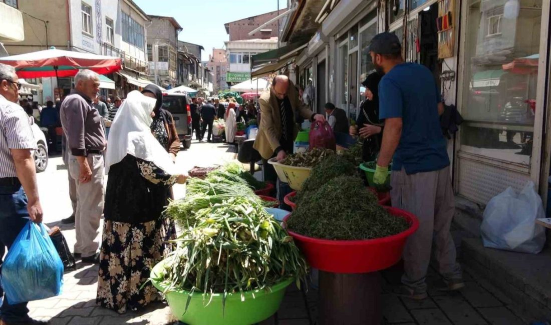Van’da baharın gelmesiyle birlikte dağlardan büyük emeklerle toplanan şifalı otlar,