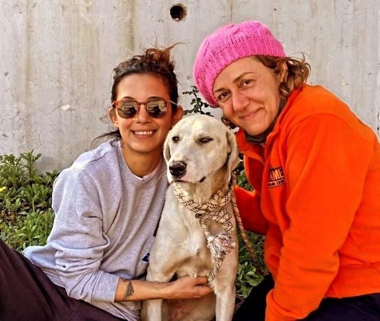 Depremde kurtarılan köpek, Datça’daki yeni hayatına devam ediyor Geçtiğimiz yıllarda yaşanan Kahramanmaraş merkezli depremlerde Antakya’da görev yapan Datça