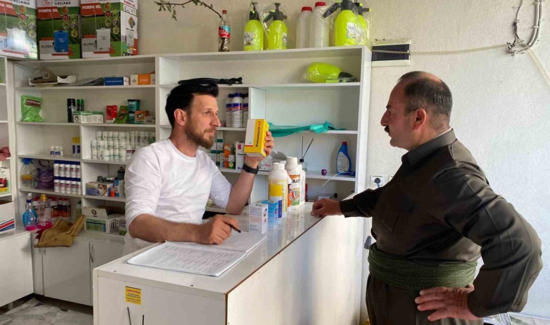 Hakkari’nin Derecik ilçesinde şap hastalığının tespit edilmesi üzerine hayvan hareketlerine