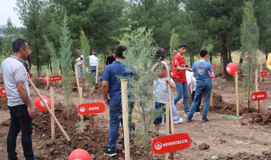 Diyarbakır Aile ve Sosyal Hizmetler İl Müdürlüğü tarafından hayata geçirilen
