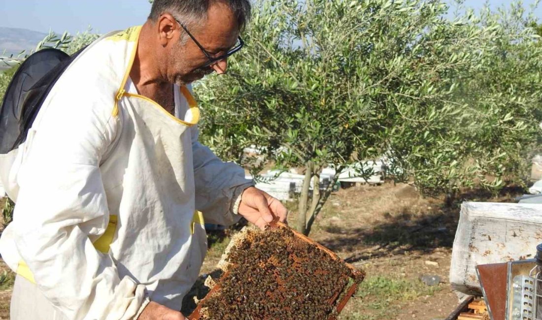 Gaziantep’te yaşayan Mehmet Uçar astım hastası olan annesine doktorların bal