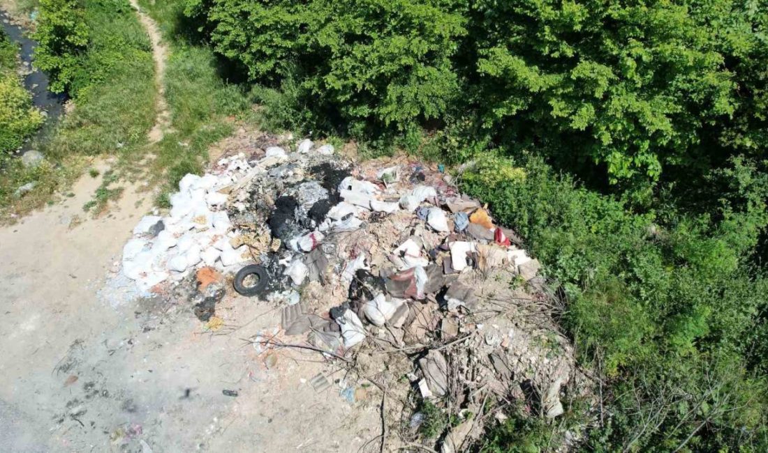 Döküm sahasına para ödememek için yeşil alanları katlediyorlar İstanbul’un Arnavutköy ilçesinde bulunan geniş ormanlık alan ve yeşil arazi;