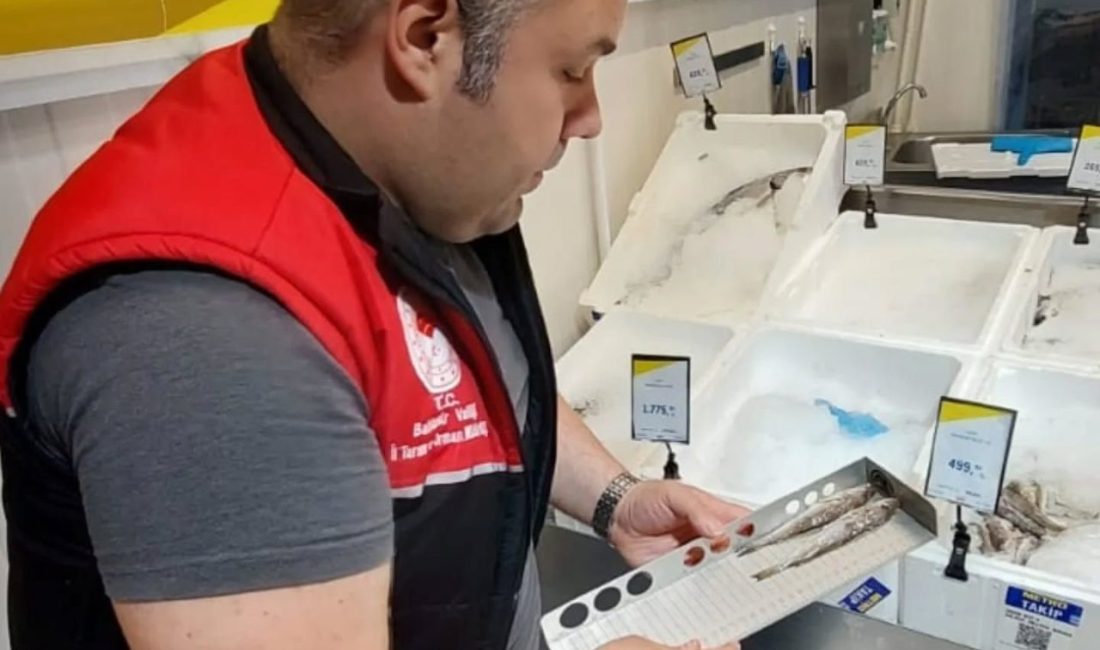 Balıkesir’in Edremit ilçesinde Tarım ve Orman Müdürlüğü ekipleri, 1380 Sayılı