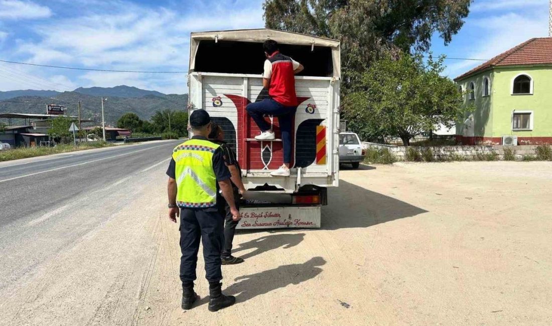 Aydın’ın Karpuzlu ilçesinde canlı hayvan nakil araçlarını denetleyen jandarma ekipleri,