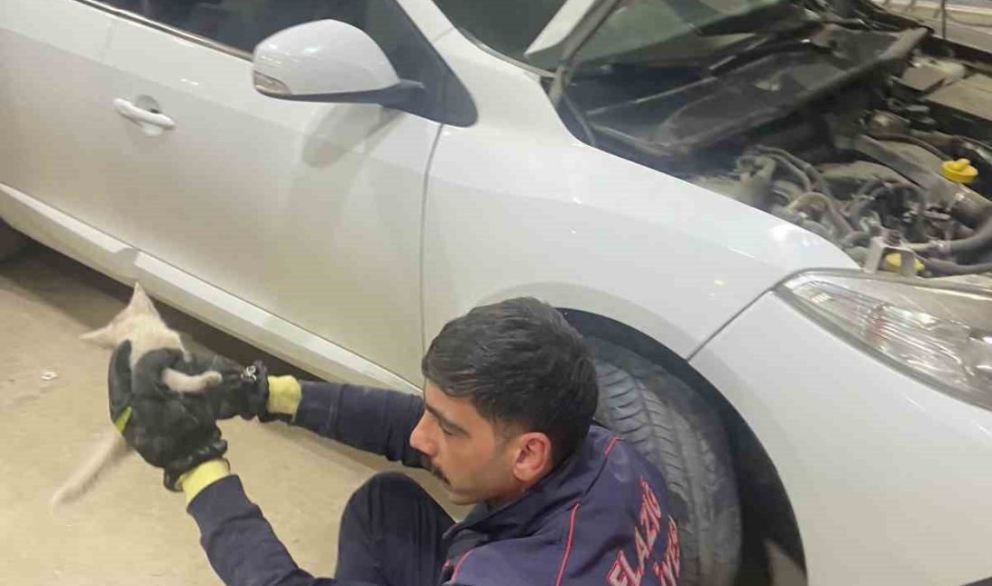 Elazığ’da bir aracın motor kısmına giren kedi, itfaiye ekipleri tarafından