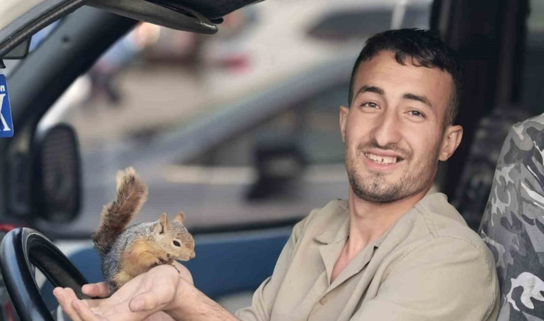 Bursa’nın İnegöl ilçesinde makine operatörü, piknik yapmak için gittiği ormanda