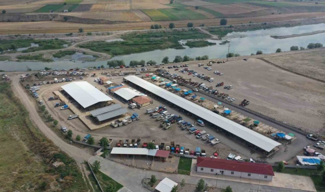 Tokat’ın Erbaa ilçesinde 5 Mayıs’ta yeniden açılan hayvan pazarı, çevre