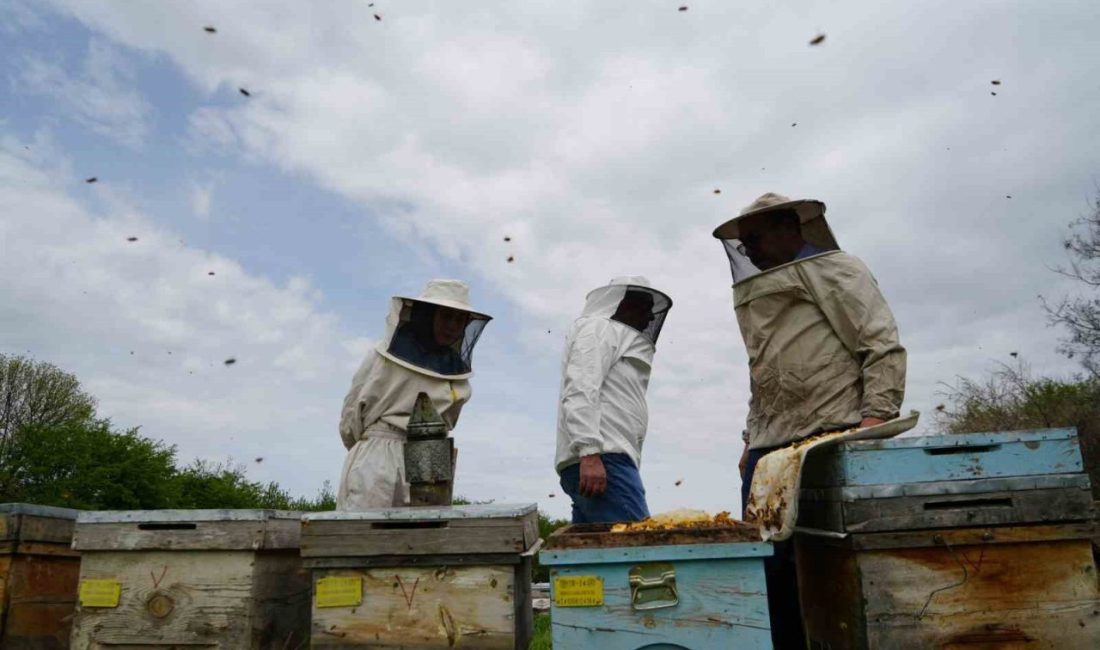 Munzur Dağları’ndaki zengin çiçek florasından dolayı arıcıların tercih ettiği Erzincan’da,
