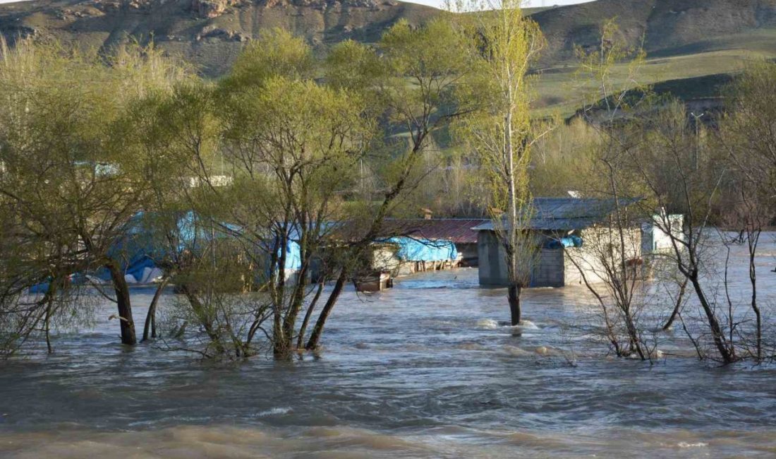 Erzincan’ın Tercan ilçesinde sağanak sonrası bazı tarım arazileri su altında