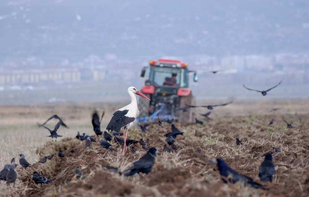 Türkiye’de Nisan ayında 191 bin 983 adet taşıtın trafiğe kaydı