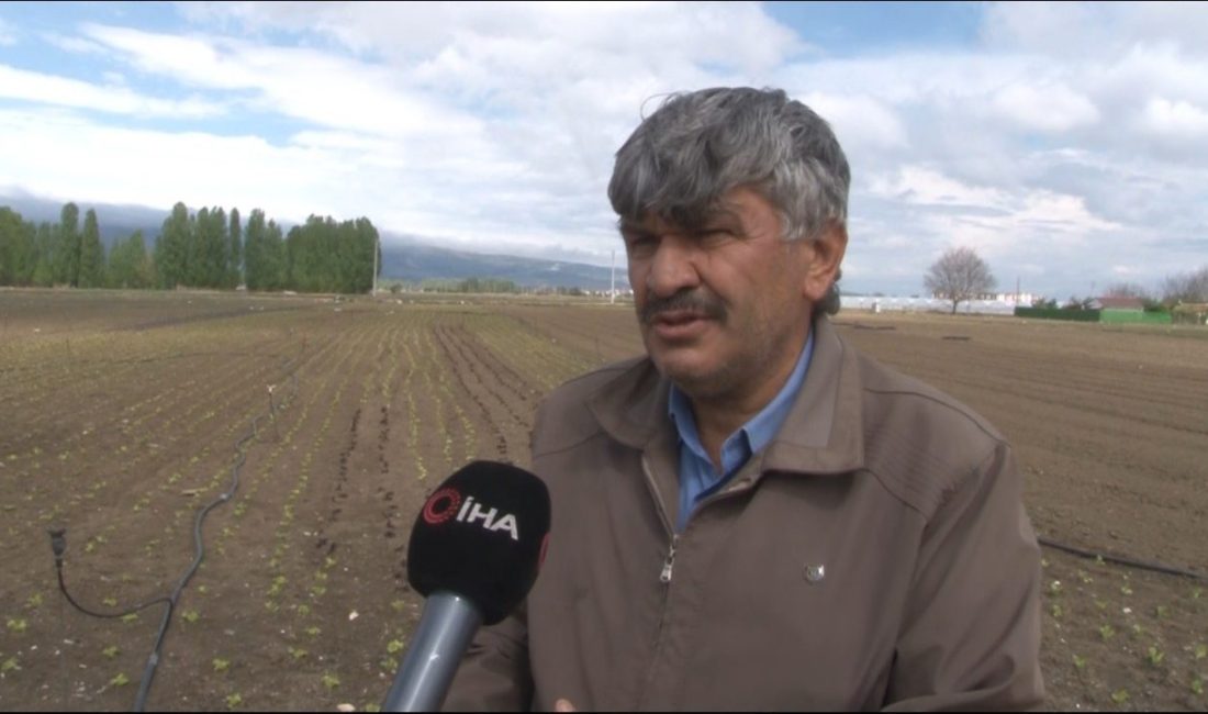 Eskişehir Yeşil Sakarya Üreticiler Birliği Başkanı Süleyman Buluşan, yağış yetersizliğinin