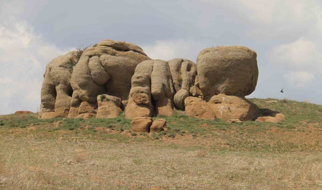 Sivas’ta bozkırın ortasında fil sürüsüne benzetilen kayalar turizme kazandırılmayı bekliyor.