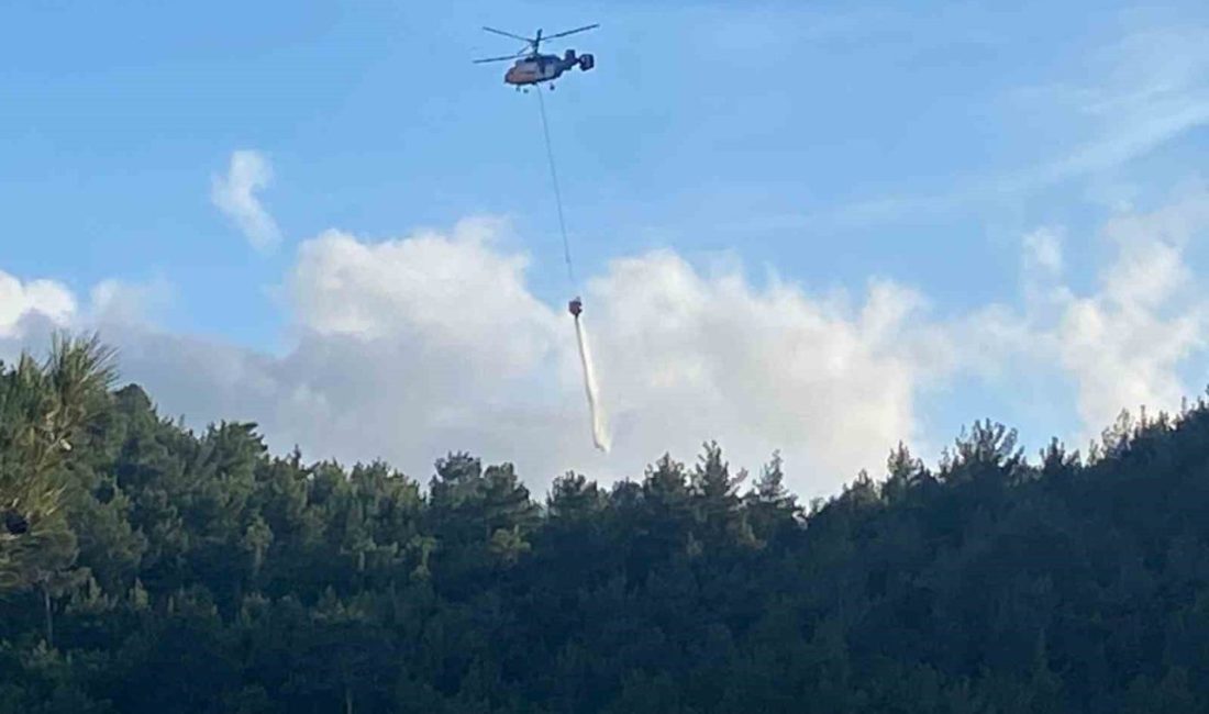 Hatay’da orman yangını Hatay’ın Arsuz ilçesinde çıkan orman yangını, ekiplerin müdahalesiyle geniş alana