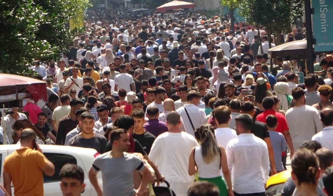 İşsiz sayısı 2025 yılı birinci çeyreğinde bir önceki çeyreğe göre