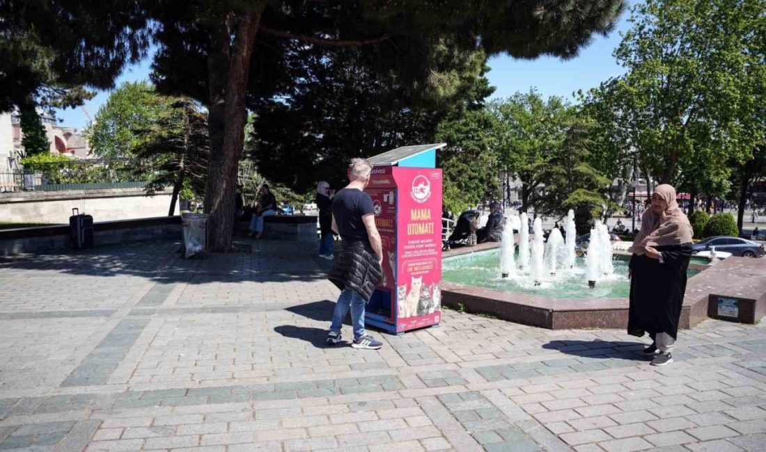 İstanbul Sultanahmet Meydanı’nda kedi otomatından mama almak isteyen martıların, kedileri