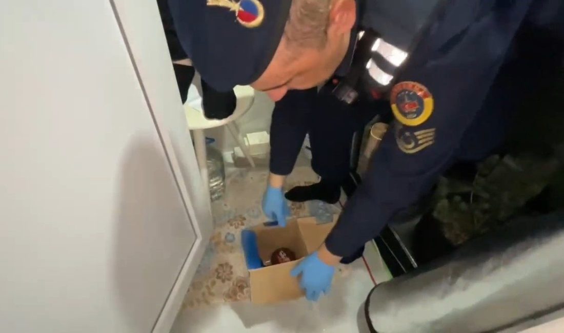 Jandarmadan evinde uyuşturucu yetiştiren şahıs, jandarma ekipleri tarafından düzenlenen operasyonla