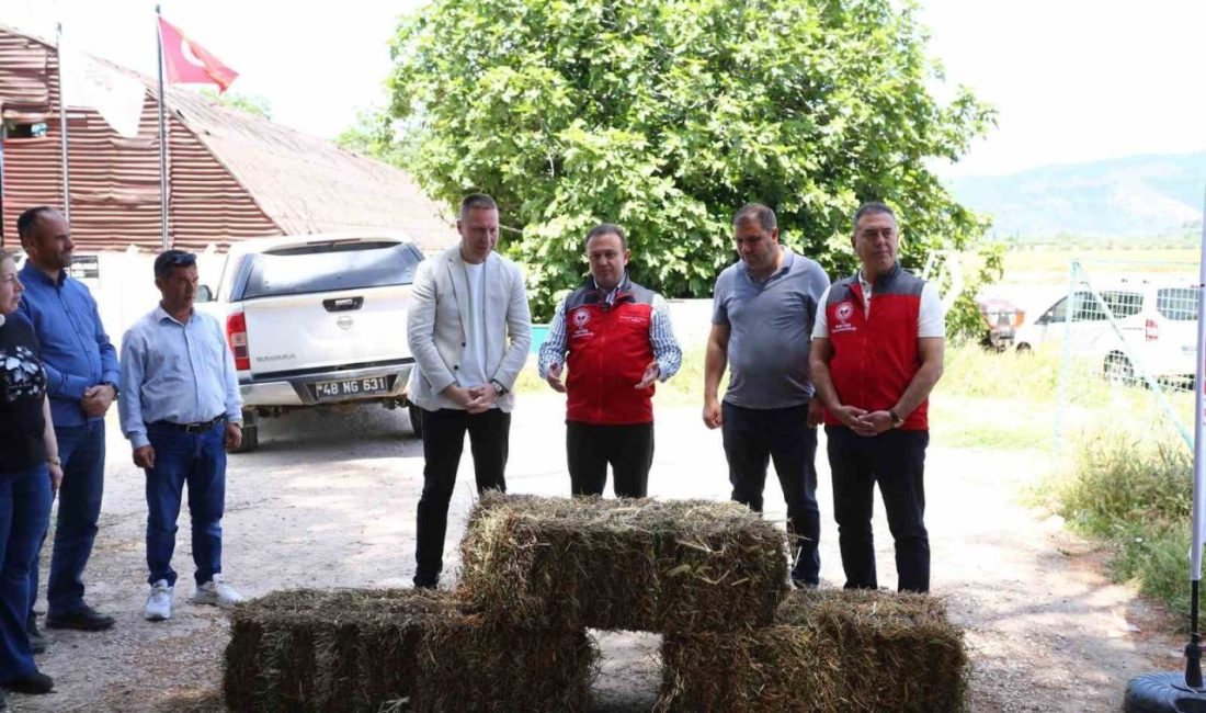 Muğla İl Tarım ve Orman Müdürlüğü tarafından yürütülen koyunculuk projeleri