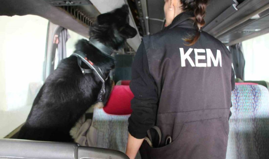 Kapıkule’de 77 kilo ecstacy ele geçirildi Edirne’de gümrük muhafaza ekiplerince Türkiye’ye giriş yapmak üzere Kapıkule Sınır