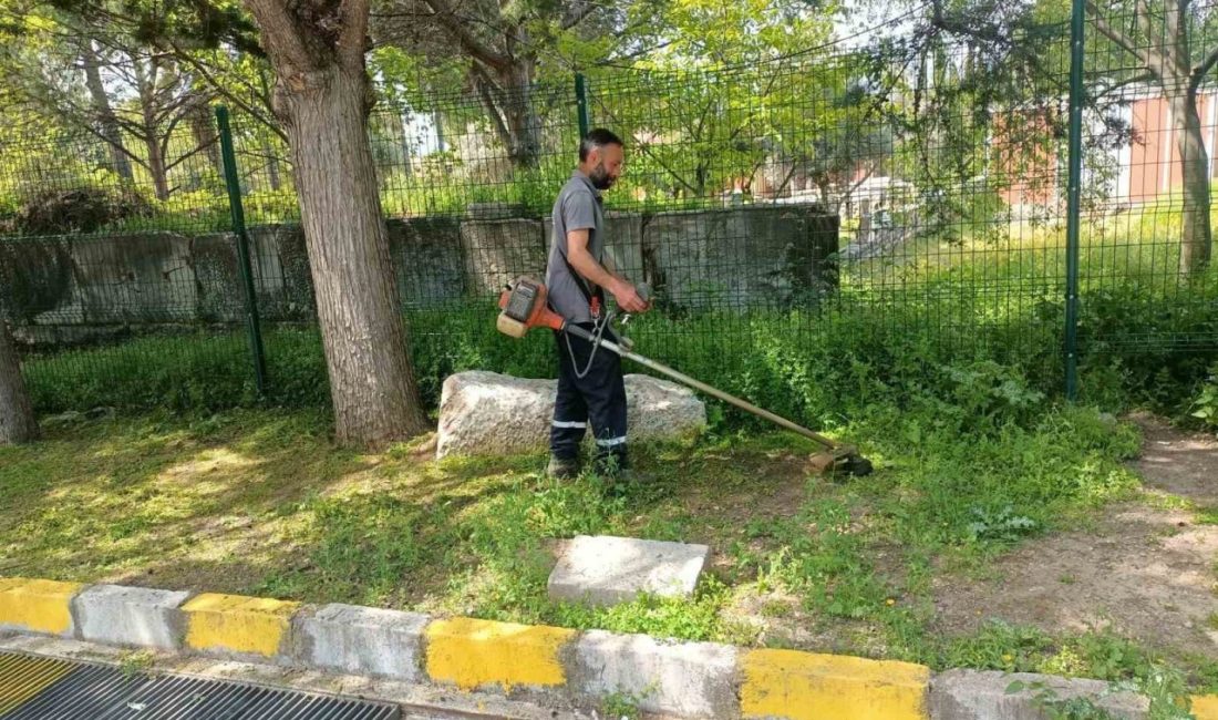 Karacasu Belediyesi ekipleri, ilçe genelinde gerçekleştirdiği temizlik ve ot biçme