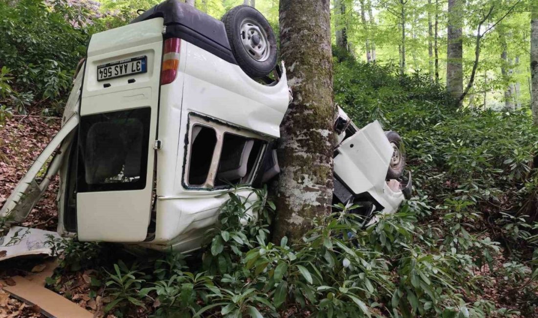 Kastamonu’nun Doğanyurt ilçesinde direksiyonunun kilitlenmesi üzerine yoldan çıkan minibüs, yaklaşık