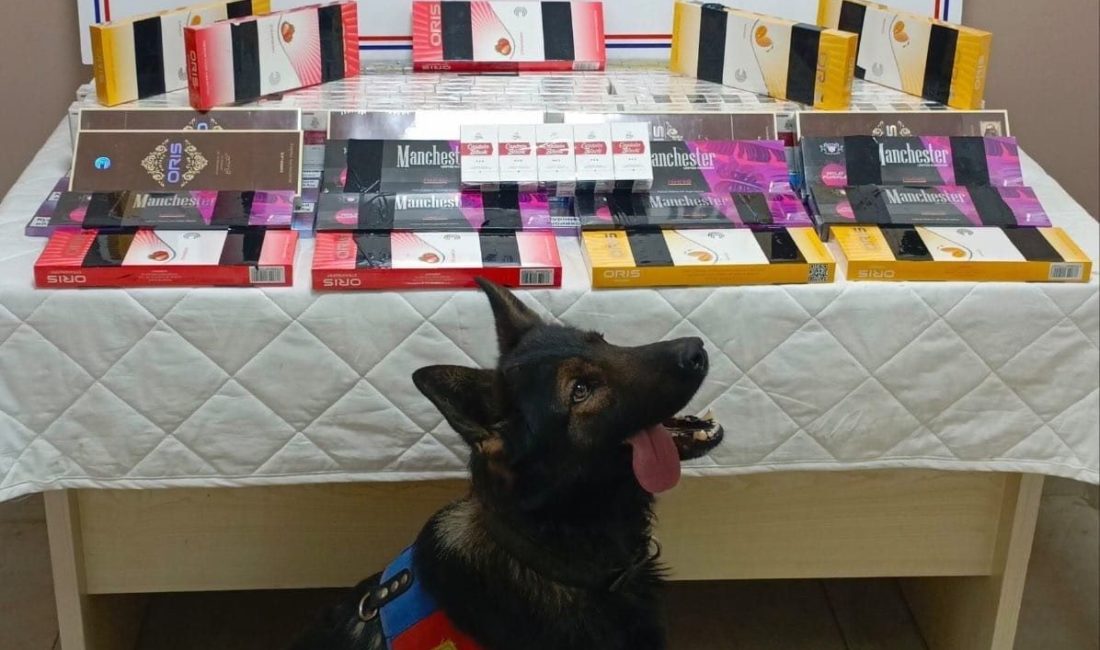 Kayseri İl Jandarma Komutanlığı ekiplerince yapılan çalışmalarda 700 paket kaçak