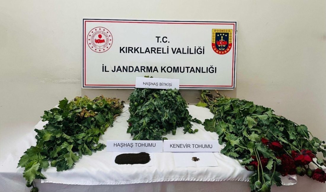 Kırklareli’nde uyuşturucu operasyonu: 8 gözaltı Kırklareli’nde jandarma ekiplerince düzenlenen uyuşturucu operasyonunda 8 şüpheli yakalandı. Alınan